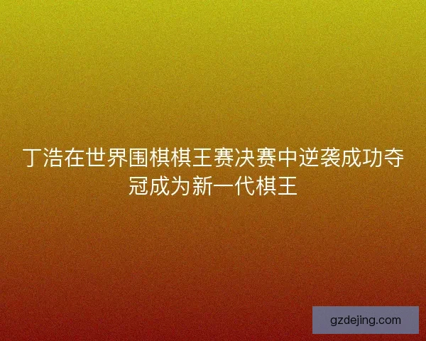 丁浩在世界围棋棋王赛决赛中逆袭成功夺冠成为新一代棋王